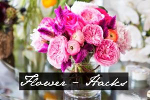 Ungewöhnlich: Blumen-Tricks